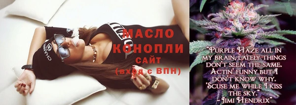 тгк Дмитриев