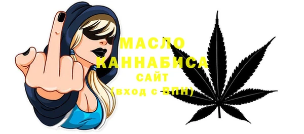 тгк Дмитриев