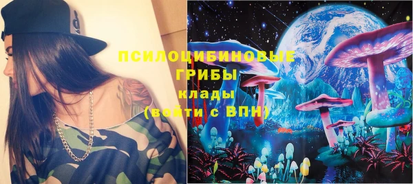 стафф Елизово