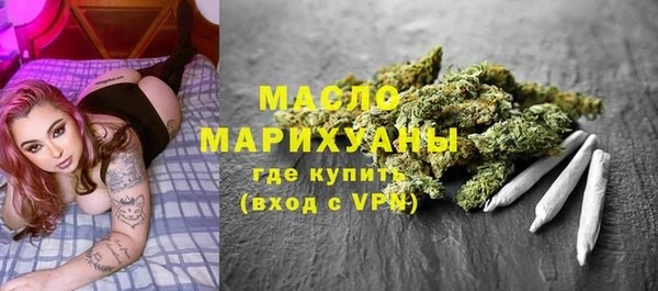 тгк Дмитриев