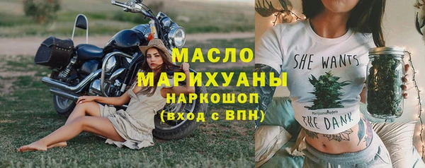 тгк Дмитриев
