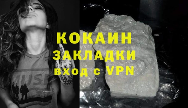 тгк Дмитриев